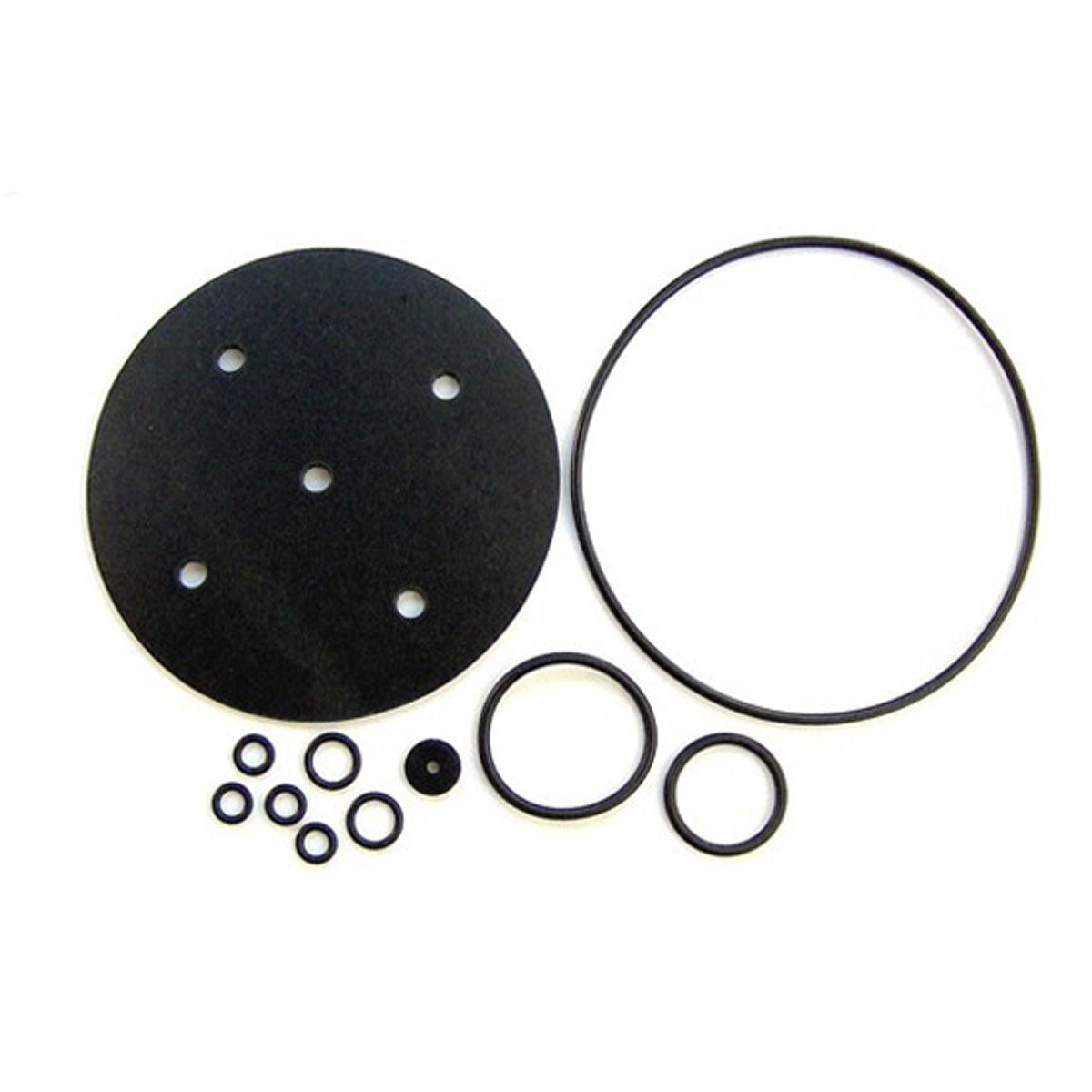 Reducer Repair Kit Bigas RI-21 4100