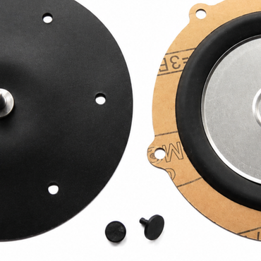 LPG Reducer Diaphragm Repair Kit for Landi Renzo EC04 2302