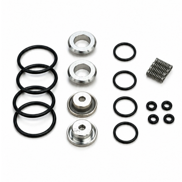 LANDI LANDIRENZO EVO & AEB i - PLUS INJECTORS SET SERVICE REPAIR Kit