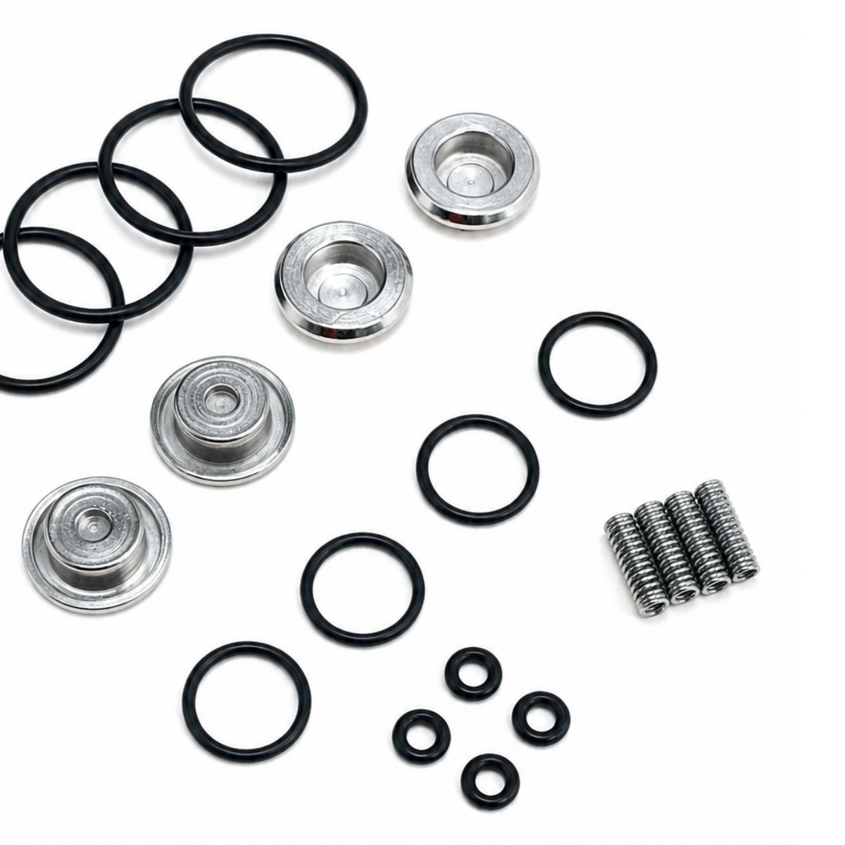 LANDI LANDIRENZO EVO & AEB i - PLUS INJECTORS SET SERVICE REPAIR Kit
