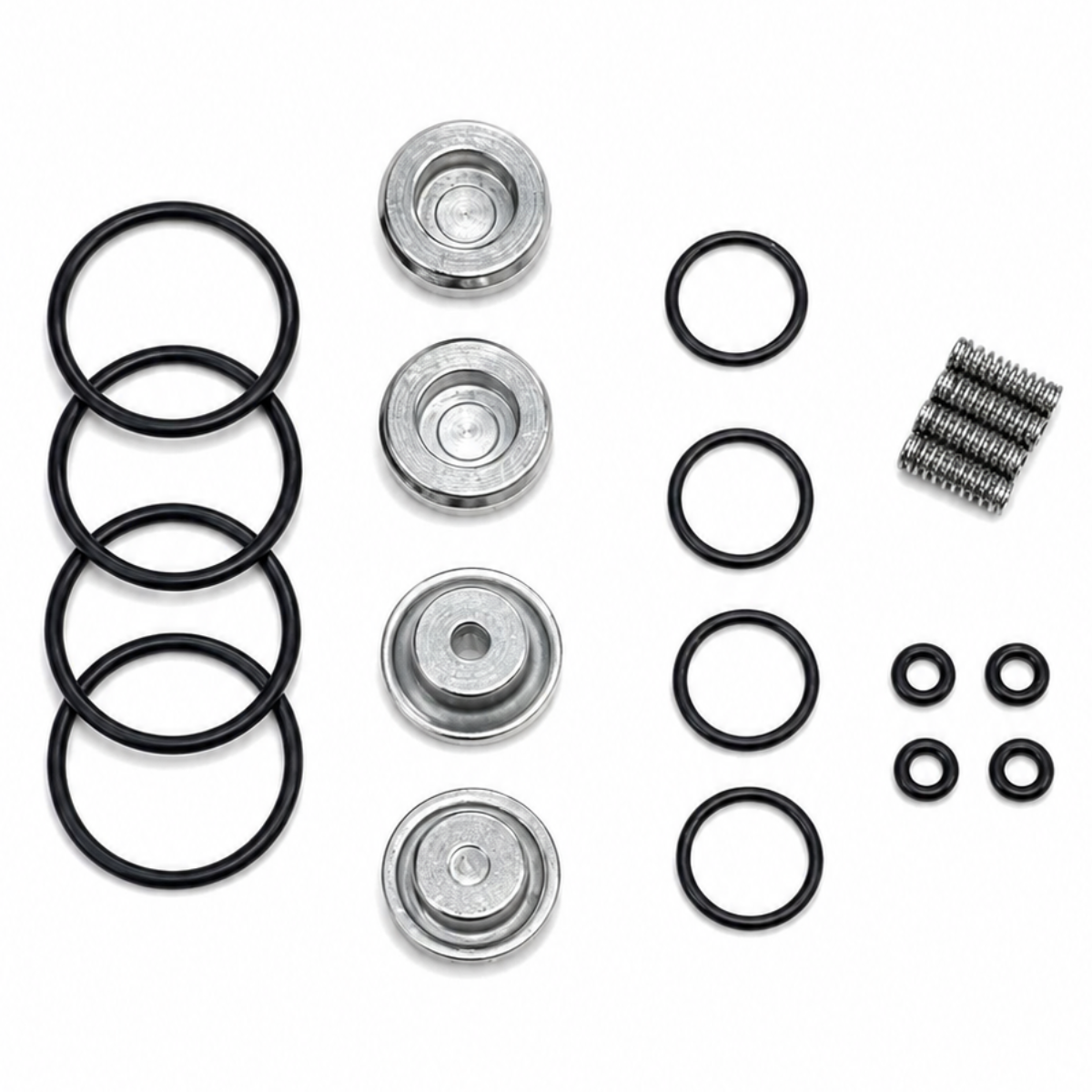 LANDI LANDIRENZO EVO & AEB i - PLUS INJECTORS SET SERVICE REPAIR Kit